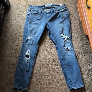 Torrid distressed jeans